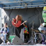 Wine Country Festival 2014 | Gallery | LunaFish| Livermore, CA| 360 web designs